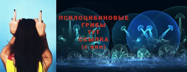 прущий лед Вязьма