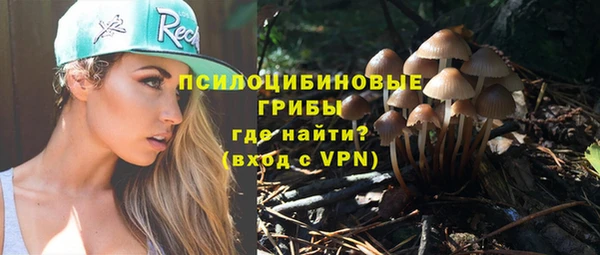 mdpv Горняк