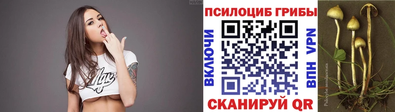 Купить  Карабаново  Галлюциногенные грибы GOLDEN TEACHER 